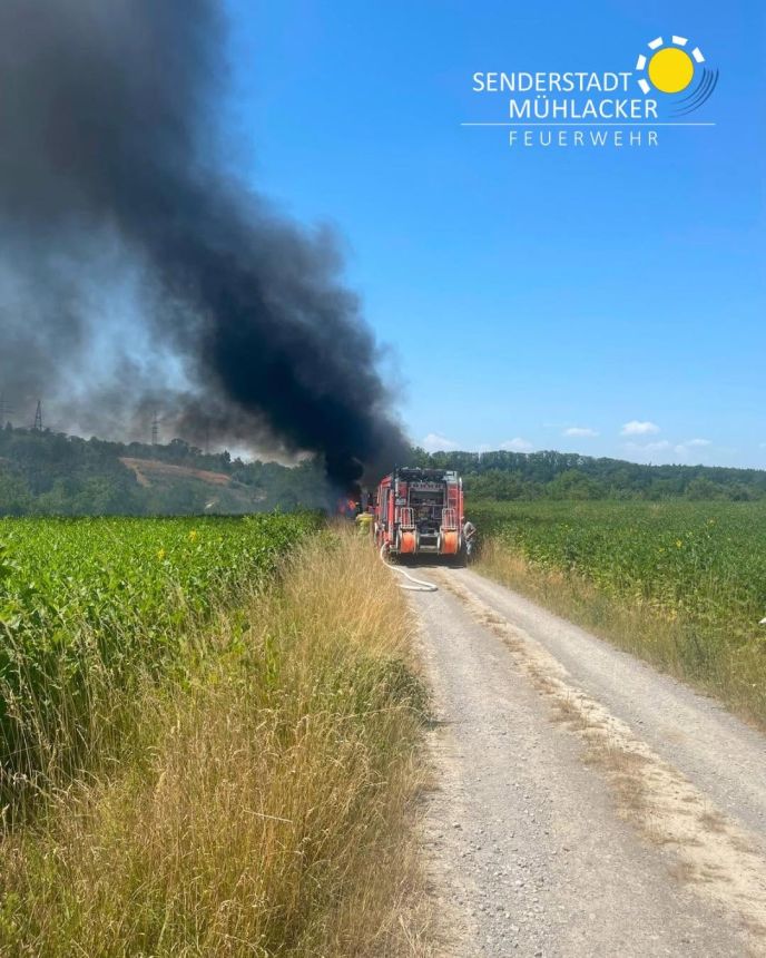 Einsatz Nr. 174 Brand 2 Fahrzeugbrand